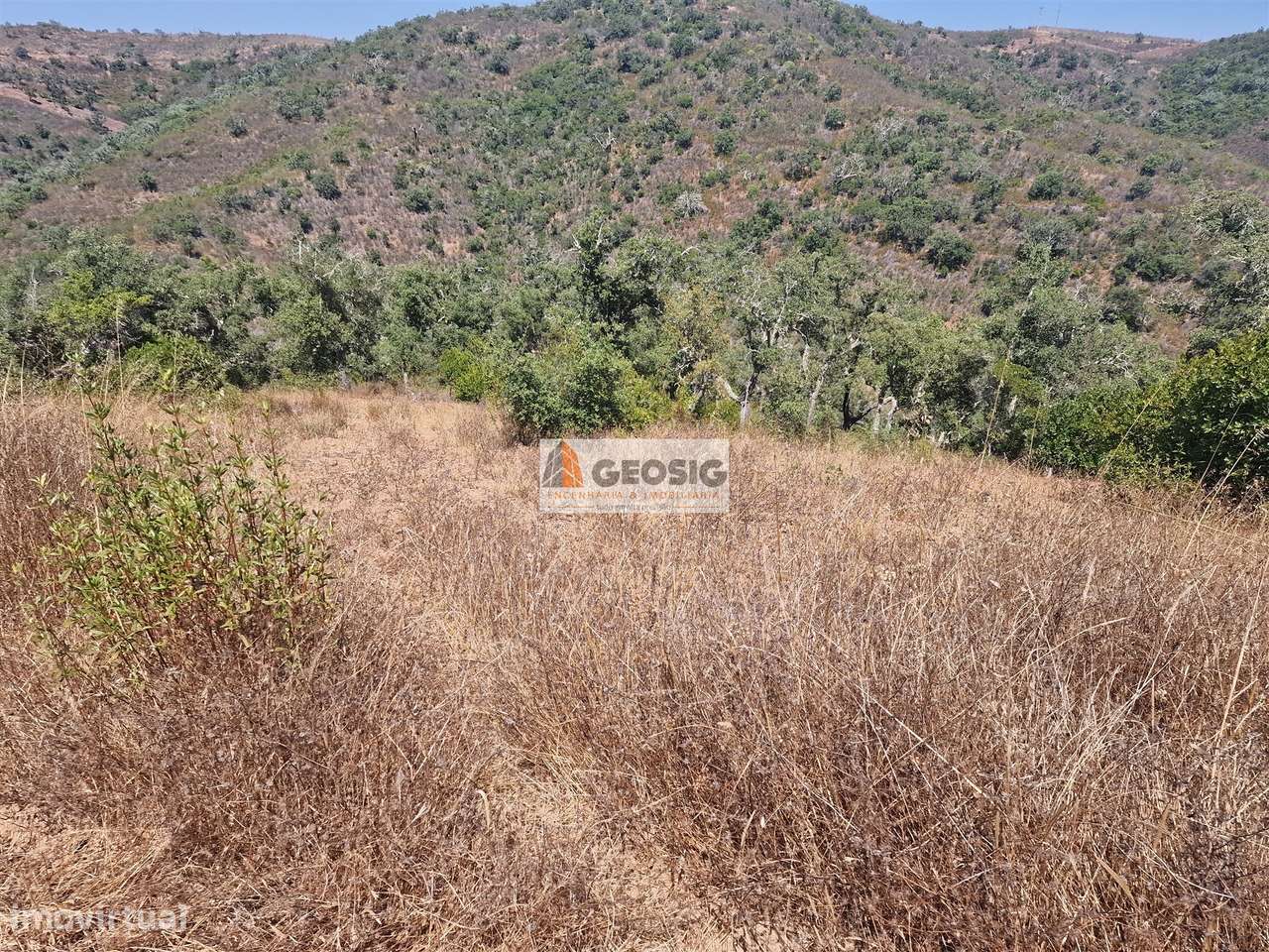 Terreno Rústico  Venda em Santana da Serra,Ourique - Grande imagem: 4/20