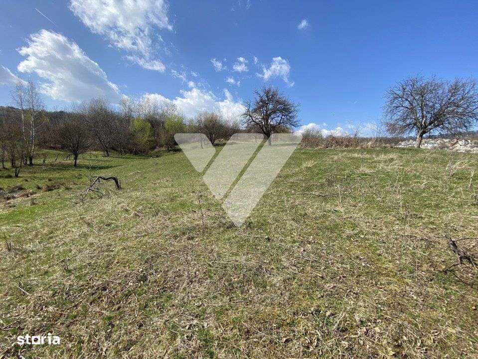 Teren Extravilan de 6630 mp - Cisnadioara - Imagine principală: 5/7