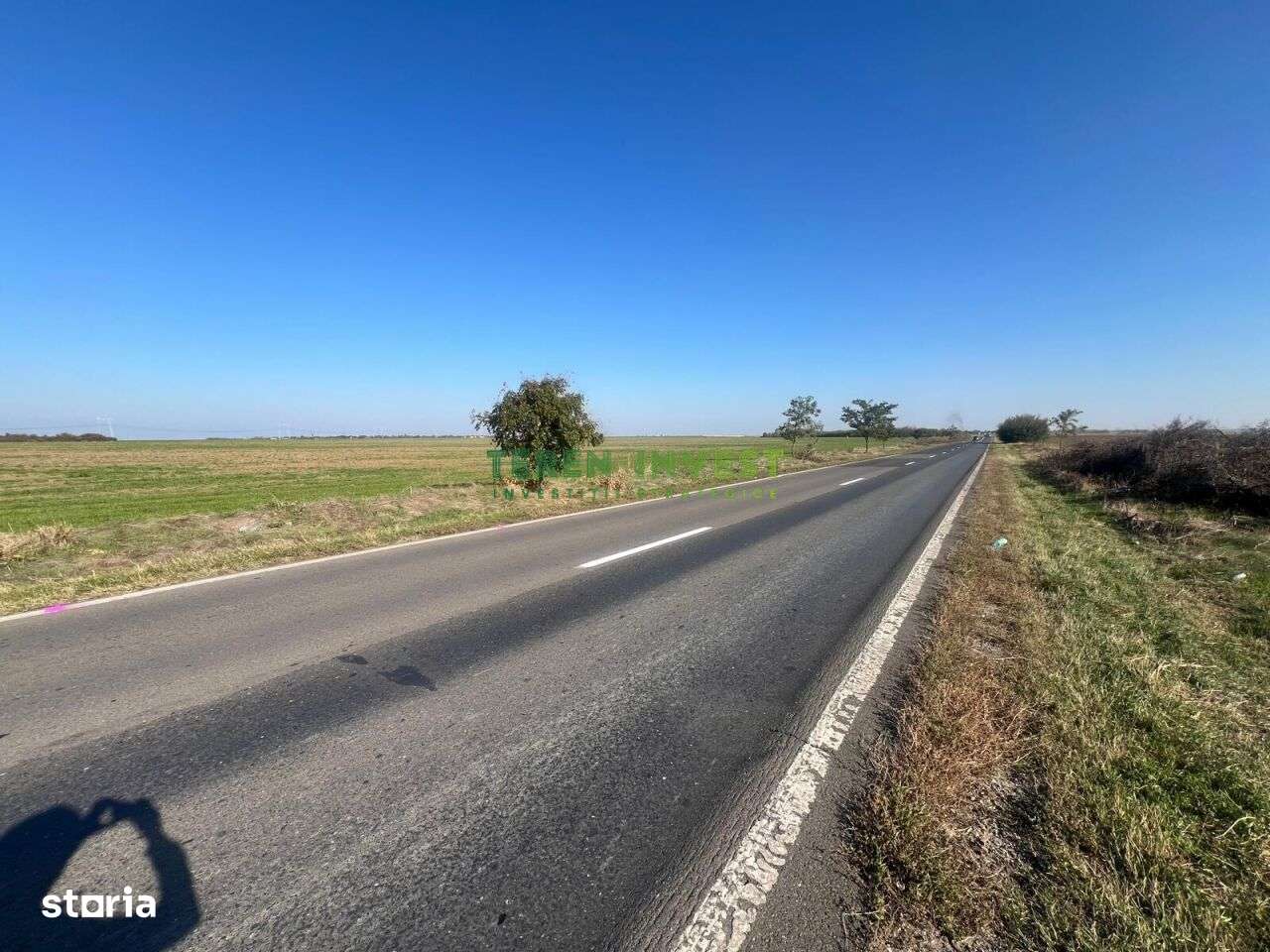 22 500 m², teren de vanzare - Calarasi (judet), Strada Morii - 9254912 ...