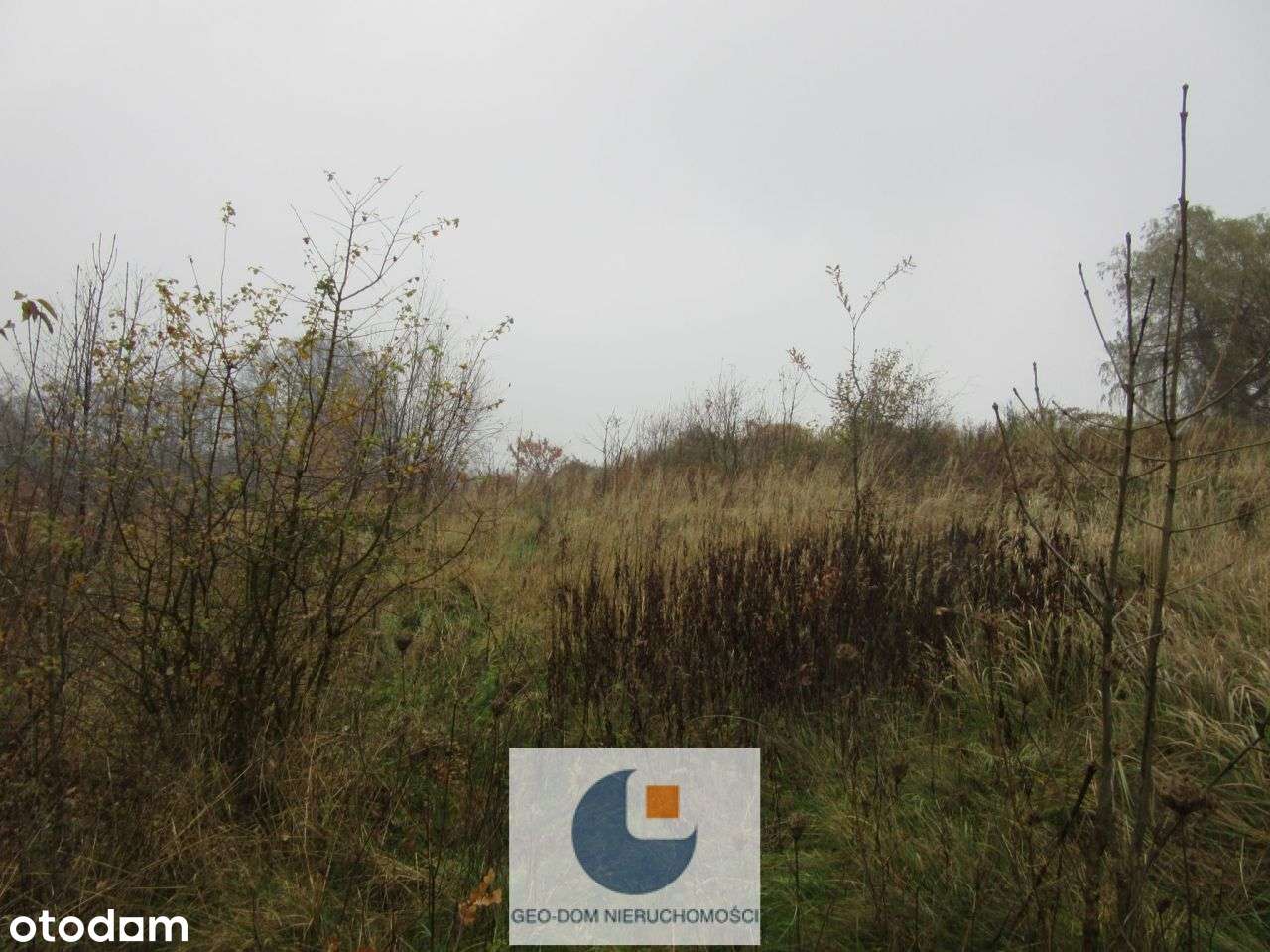 Działka z widokiem na Lasy-4