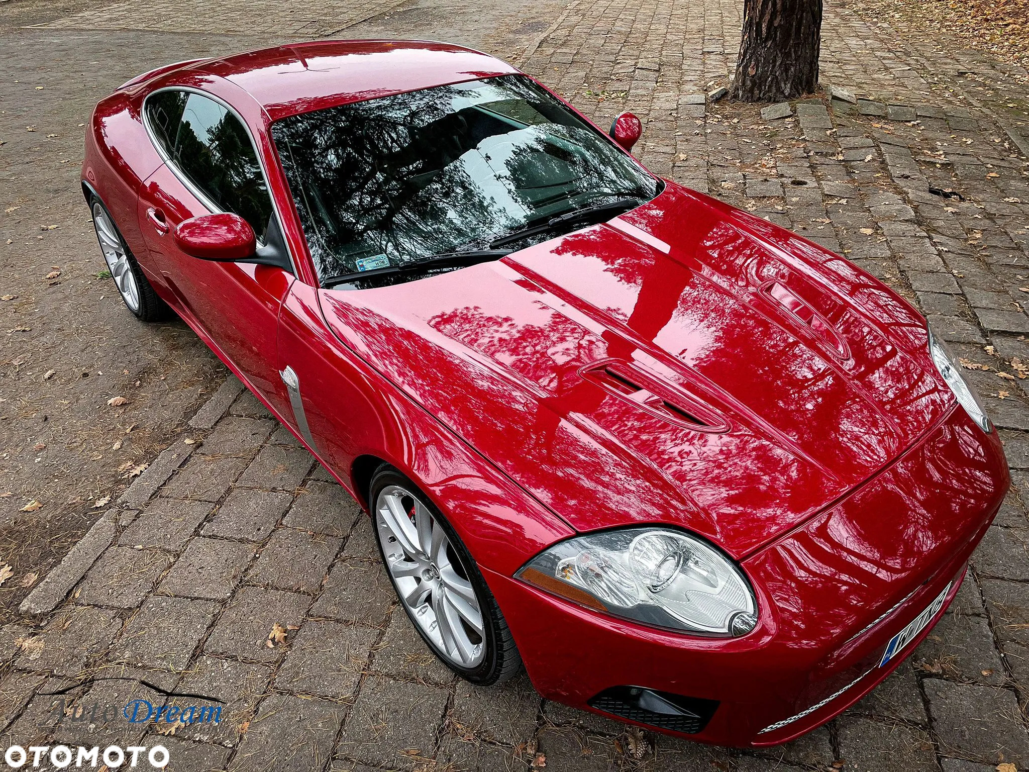 Jaguar XK XKR - 3