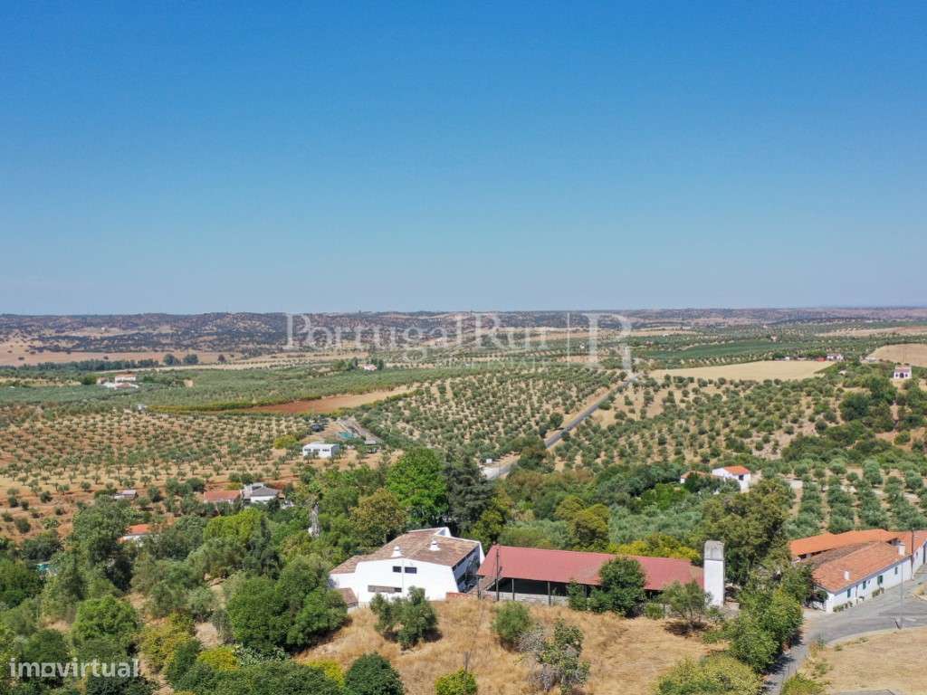 Quintinha com 2 moradias, boxes e picadeiro para cavalos em Moura -... - Grande imagem: 5/39