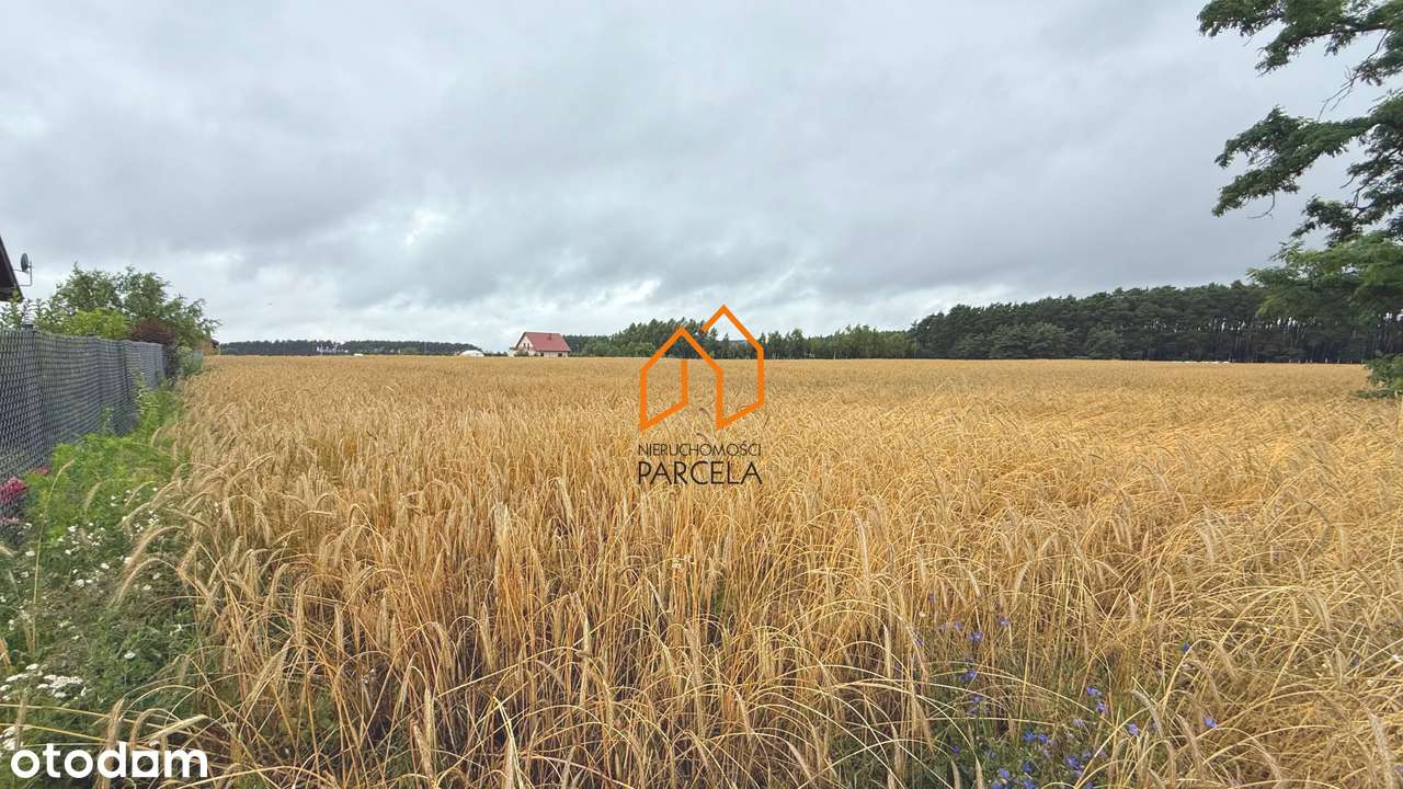 Działki budowlane w Niesłabinie-3