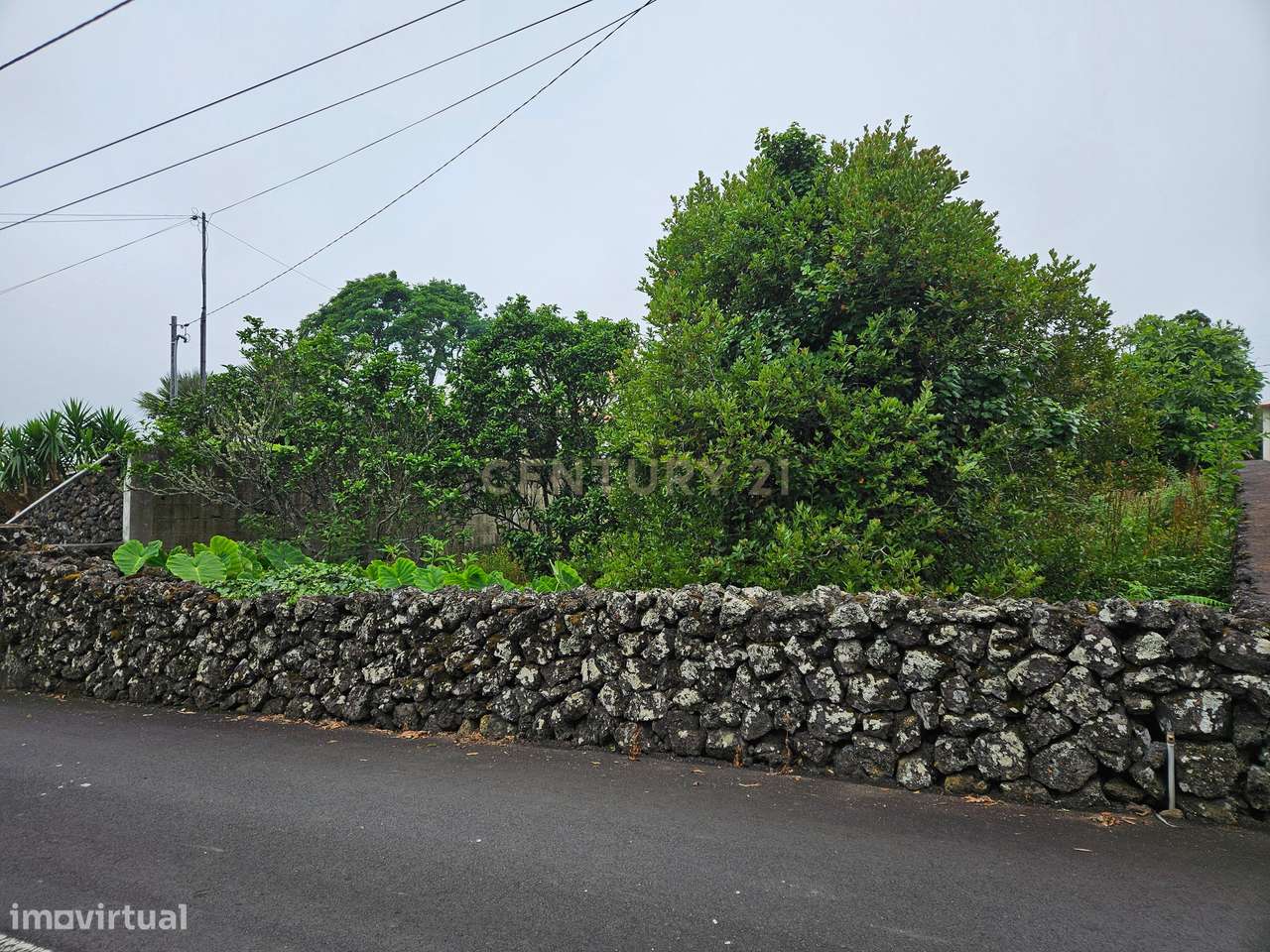 Excelente terreno com projeto de arquitetura aprovado em Terra Chã. - Grande imagem: 3/12