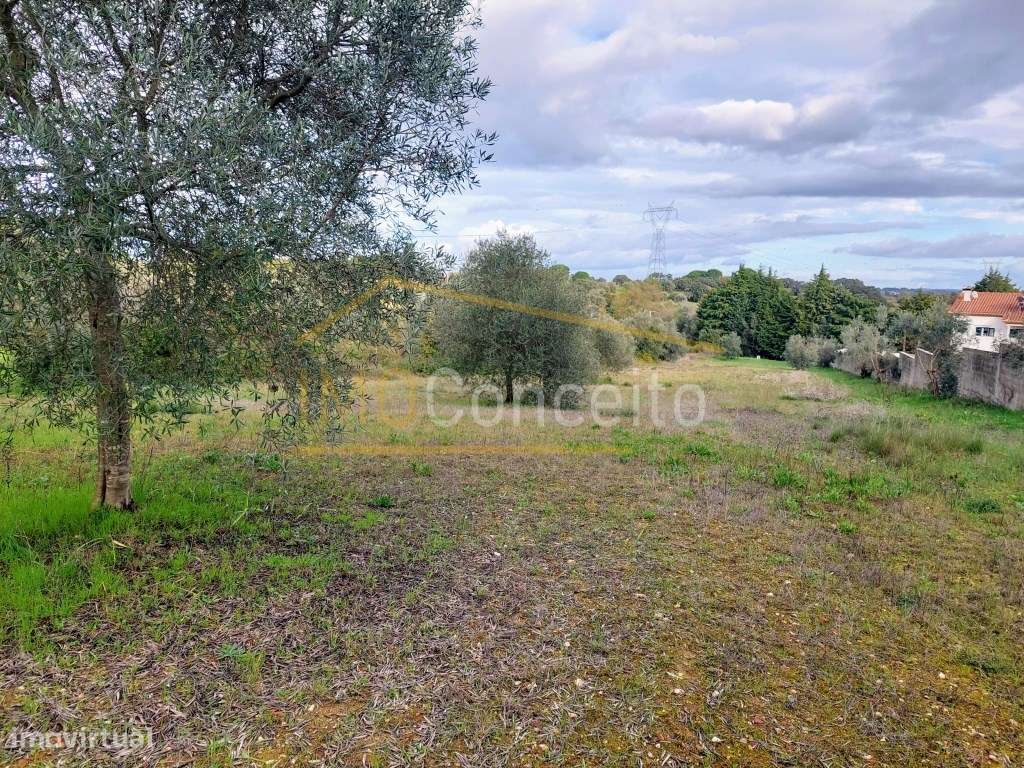 Terreno Rústico na Barroca - Grande imagem: 4/7