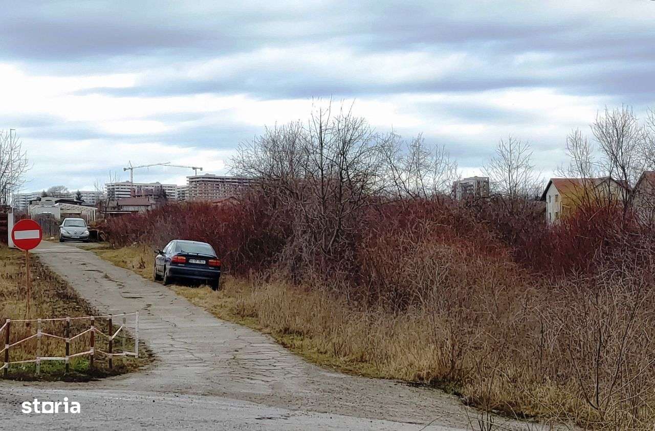 Viticulori, intrare prin Pacurari sau Aleea M. Sadoveanu, 2820 mp-10