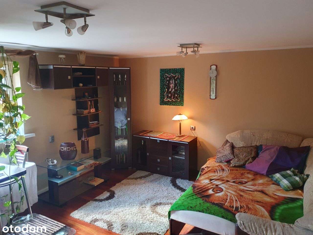 Dom w atrakcyjnej lokalizacji pod lasem, Rokosowo - Pełny obrazek: 4/13