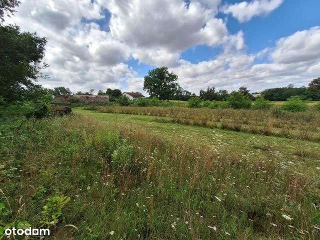 Działka, 4 240 m², Zglinna Duża-7