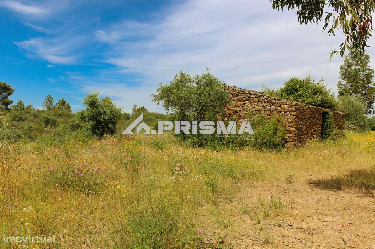Quinta para Venda em União de Freguesias de Escalos de Baixo e Mata - Grande imagem: 5/18