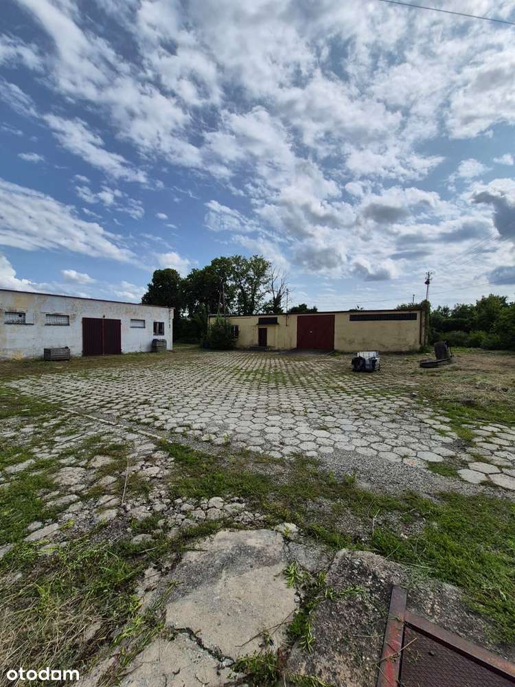 obiekt inwestycyjny w Kietrzu - Pełny obrazek: 4/8