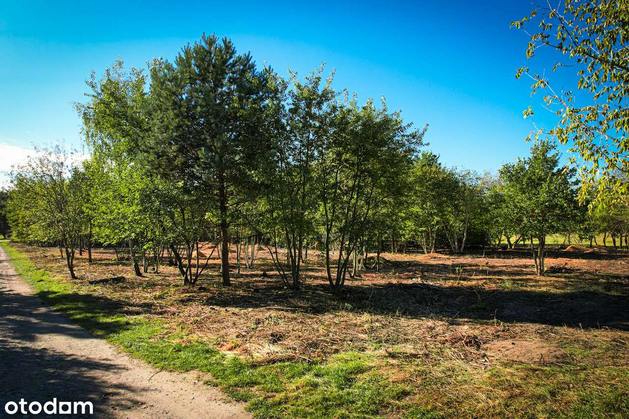Atrakcyjna I Duża I Działka Budowlana I Media I MPZP I WKD I Autobus - Pełny obrazek: 4/17