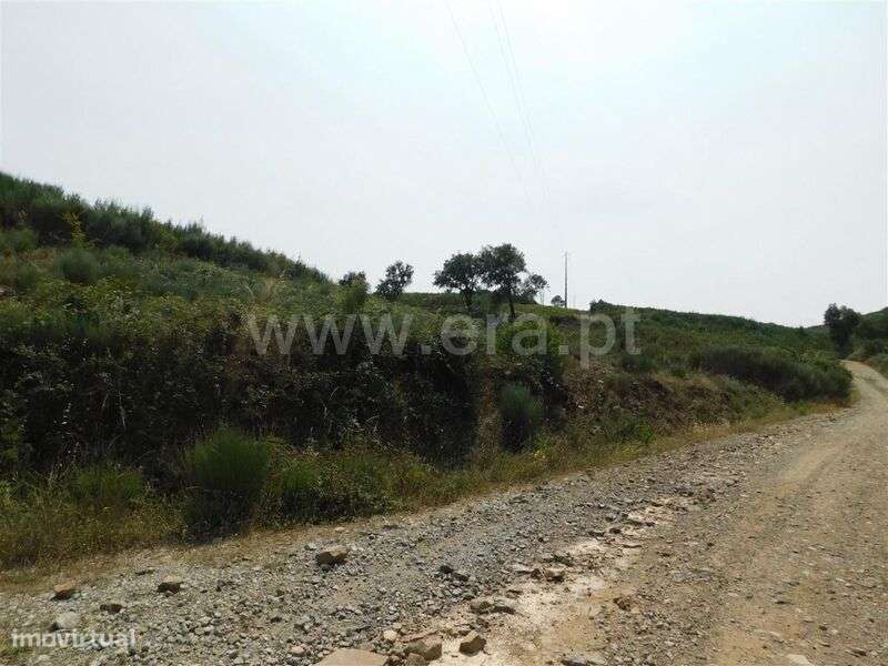 Terreno com ruina / Covilhã, Barco e Coutada - Grande imagem: 3/8