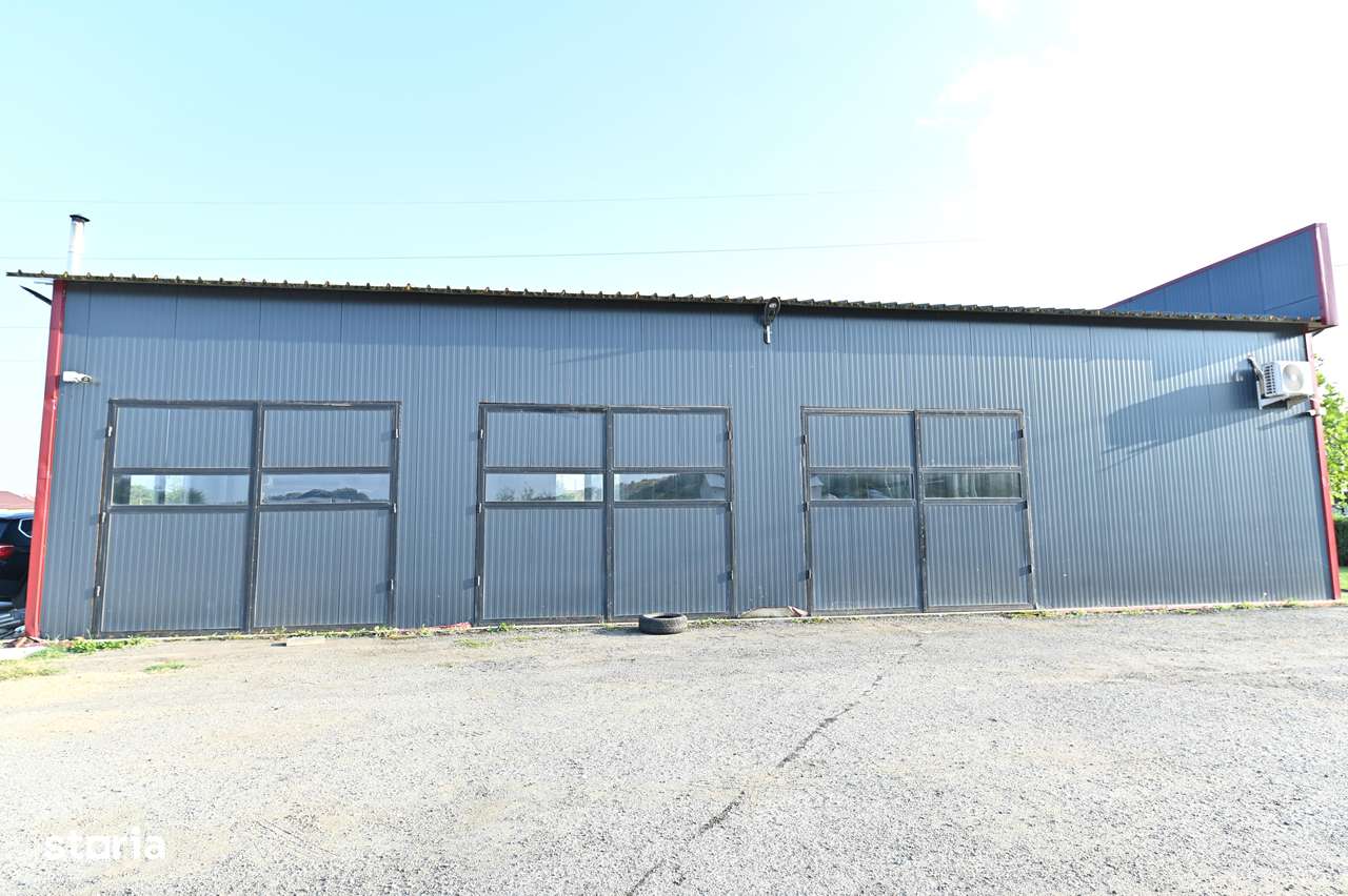 Hala de vânzare/închiriat Podari-13