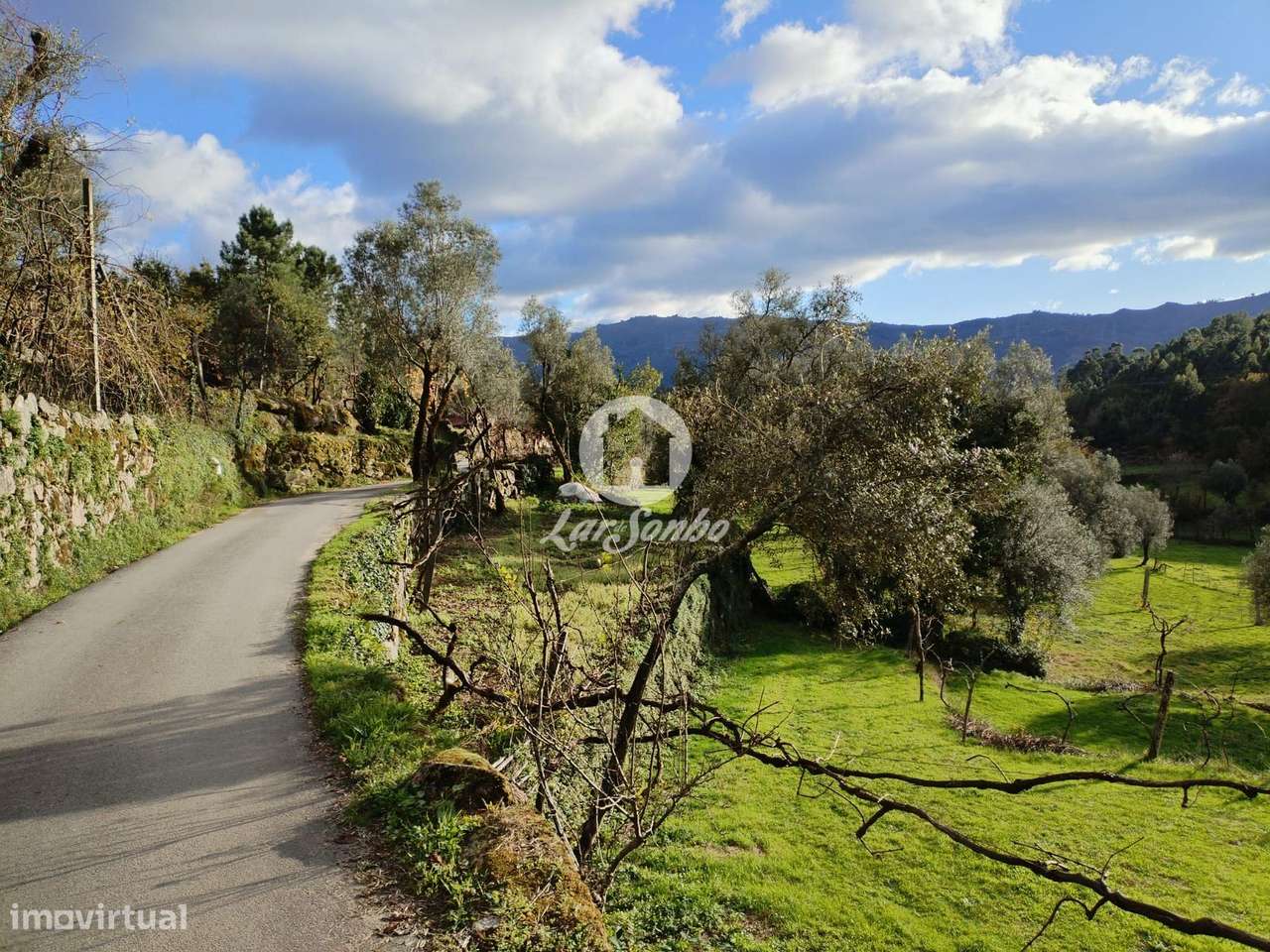 Terreno rústico, para venda, Terras de Bouro - Vilar da Veiga - Grande imagem: 5/5