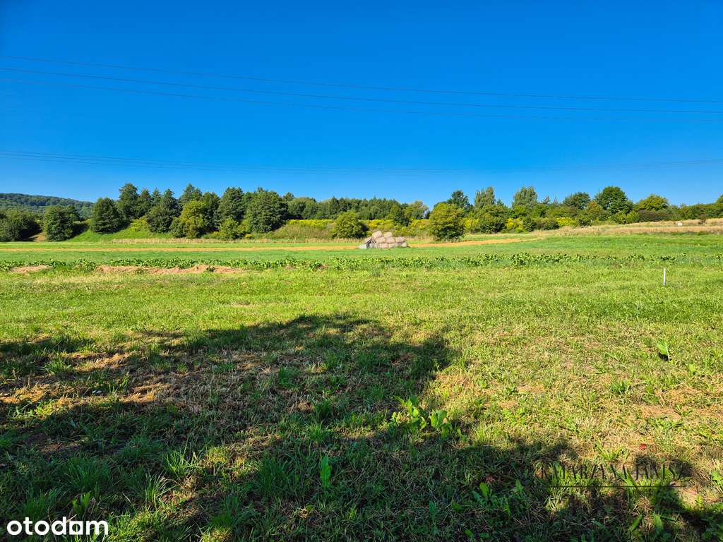 Działka w Krzeszowicach - 8 a-1