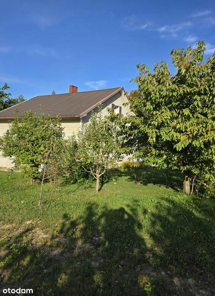 Dom na wsi blisko lasu z dużą działką 55 arów - Pełny obrazek: 5/7