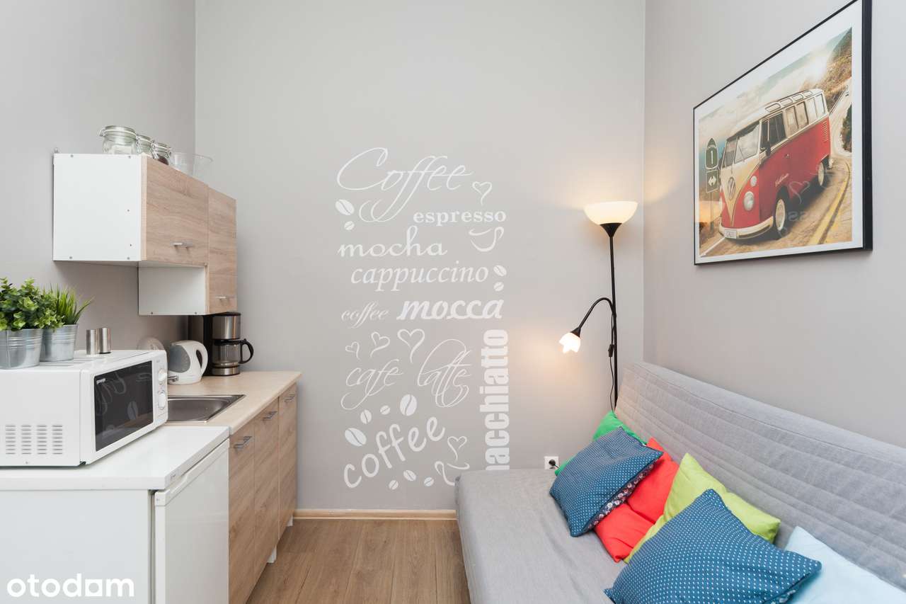 Do wynajęcia mieszkanie 1 pokojowe ul. Dietla, Kraków - Pełny obrazek: 4/11