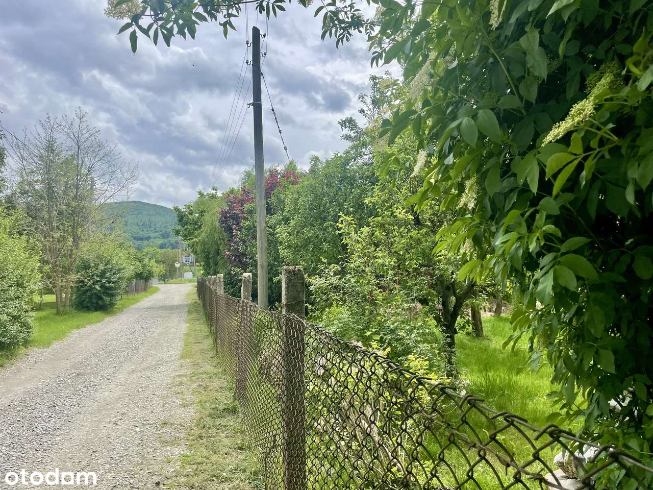 Działki Budowlane u Podnóża Biskupiej Kopy w Górach Opawskich-6