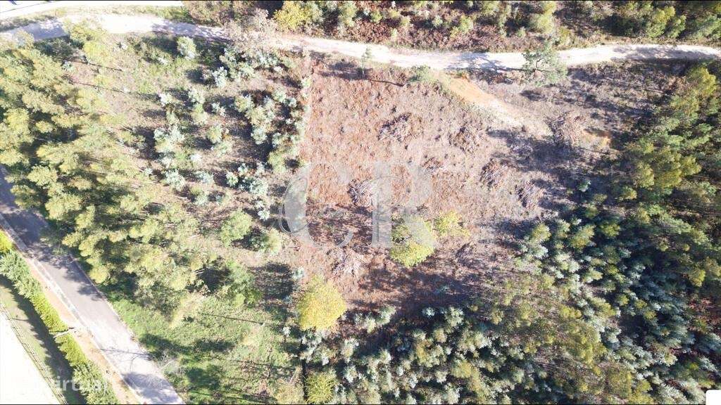 Oportunidade Única para Investimento Imobiliário em Figueiró dos Vinho - Grande imagem: 2/4