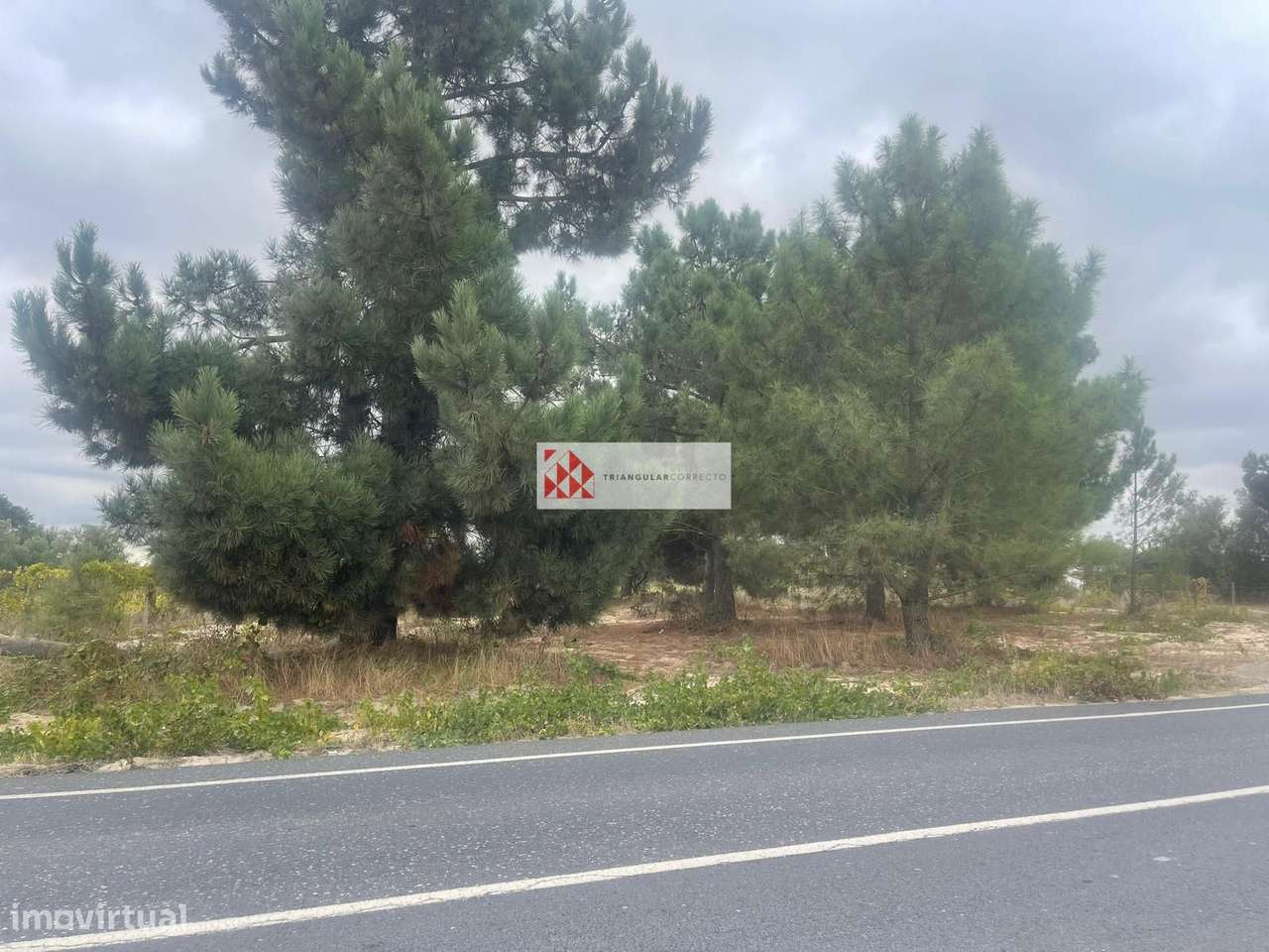 Terreno com 1796m2 para construção de moradia - Venda do Alcaide, P... - Grande imagem: 2/3