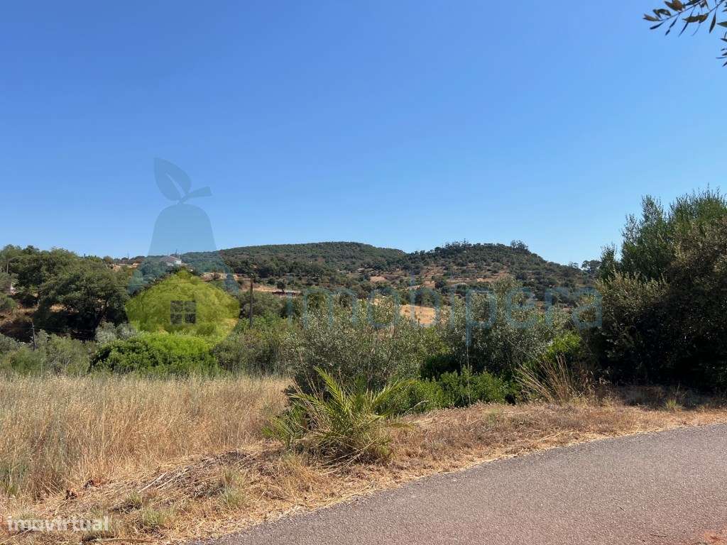 TERRENO RÚSTICO EM PEDREIRAS/ELECTRICIDADE/ÁGUA E SANEAMENTO - Grande imagem: 5/33