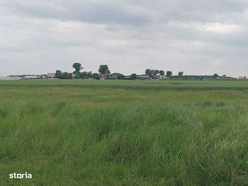 Vand teren intravilan Domnesti Teghes - Imagine principală: 4/6