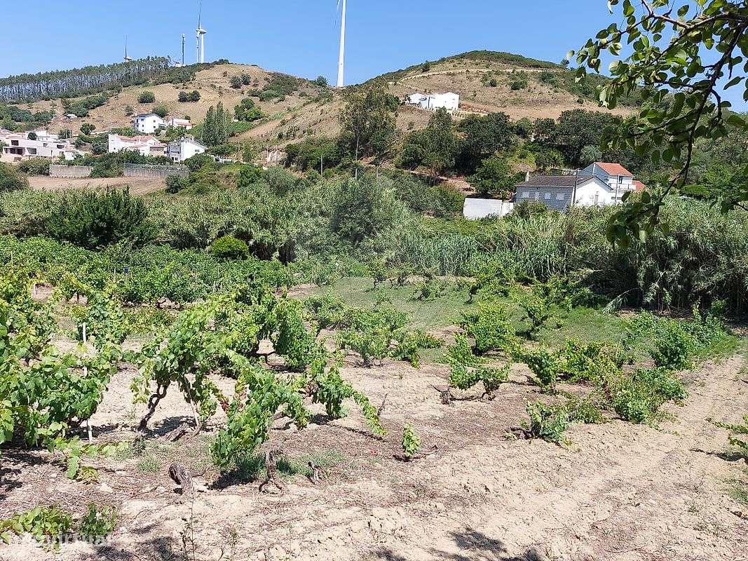 Terreno  para venda-5