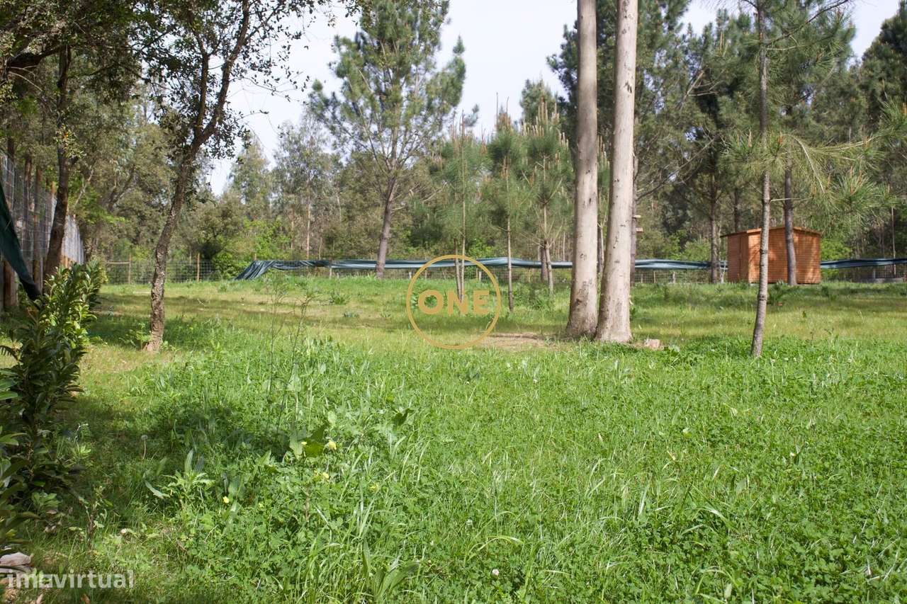 Terreno São Félix da Marinha – 4.100 m2-3