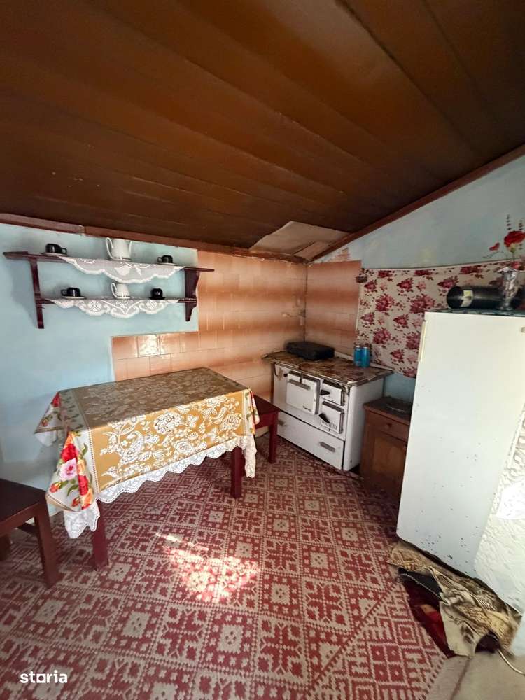 Comision 0% I Casa individuala I Teren de 3252 mp I Arghis-9