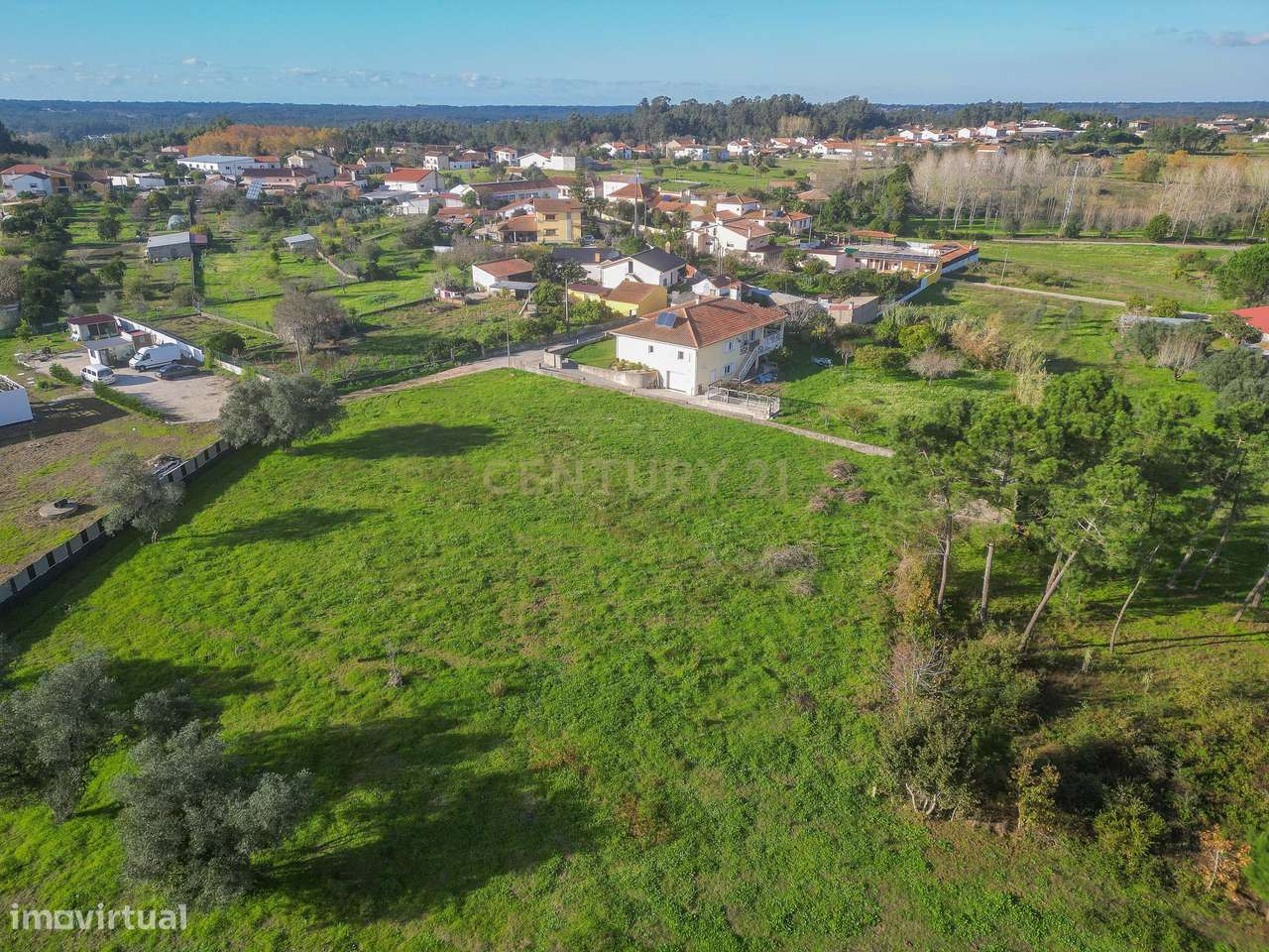 Terreno Agrícola em Montemor o Velho - Oportunidade Única-13