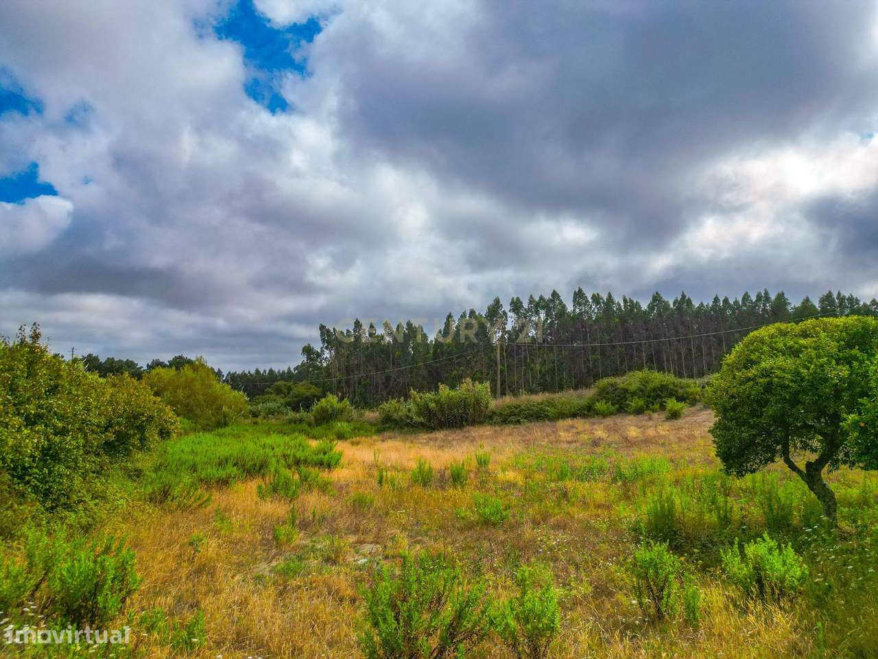 Propriedade para restaurar |  Vau | Óbidos-10
