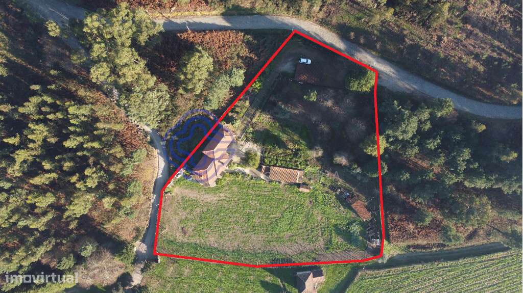 Quinta à venda no Lugar de Barreiros, freguesia da Lixa - Felgueiras - Grande imagem: 4/56