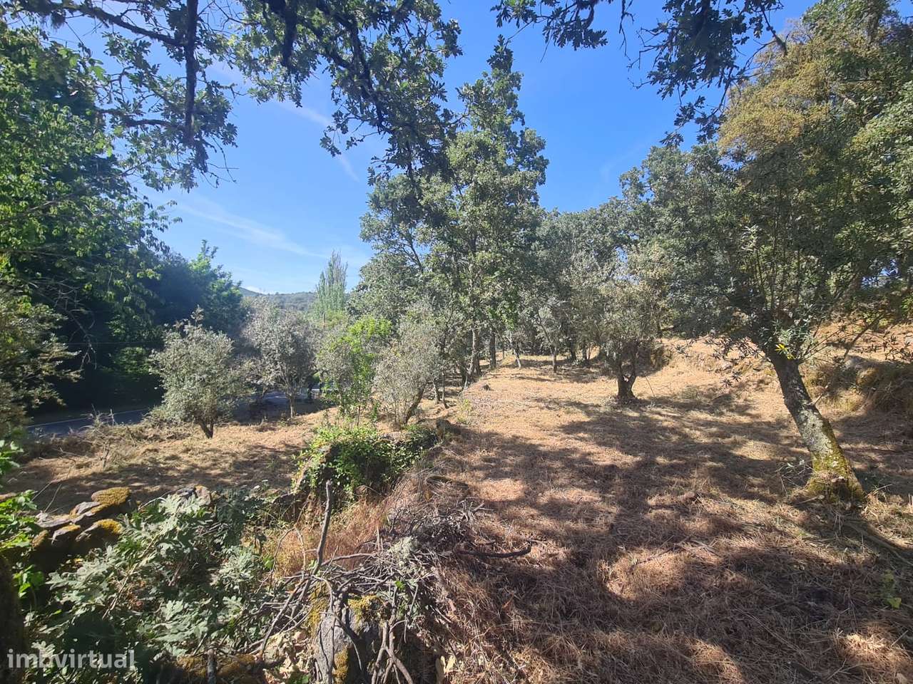 Marvão - Moradia ant. 1951 - Lote 2878 m2, Serra S. Mamede-6