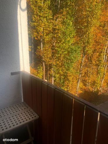 Kawalerka na Karwinach