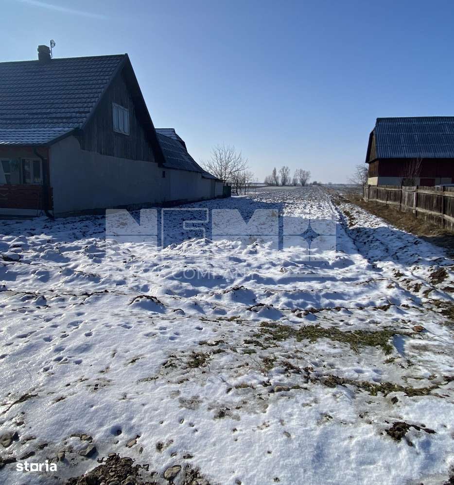 Teren | Maneuti | Strada principala | 38 ARI - Imagine principală: 3/9