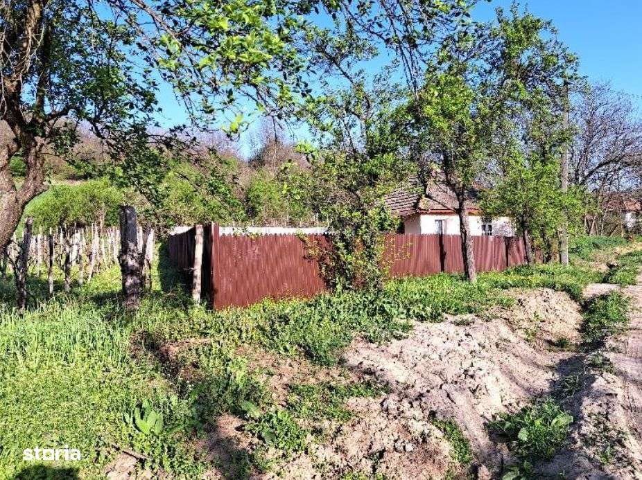 Casa si teren-com. Licurici, loc. Negreni, jud Gorj - Imagine principală: 4/4
