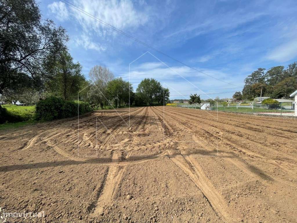 Terreno - Albergaria-a-Velha - Grande imagem: 4/5