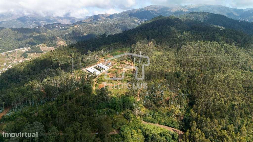 Terreno 17.542 m2 - Câmara de Lobos - Grande imagem: 4/14