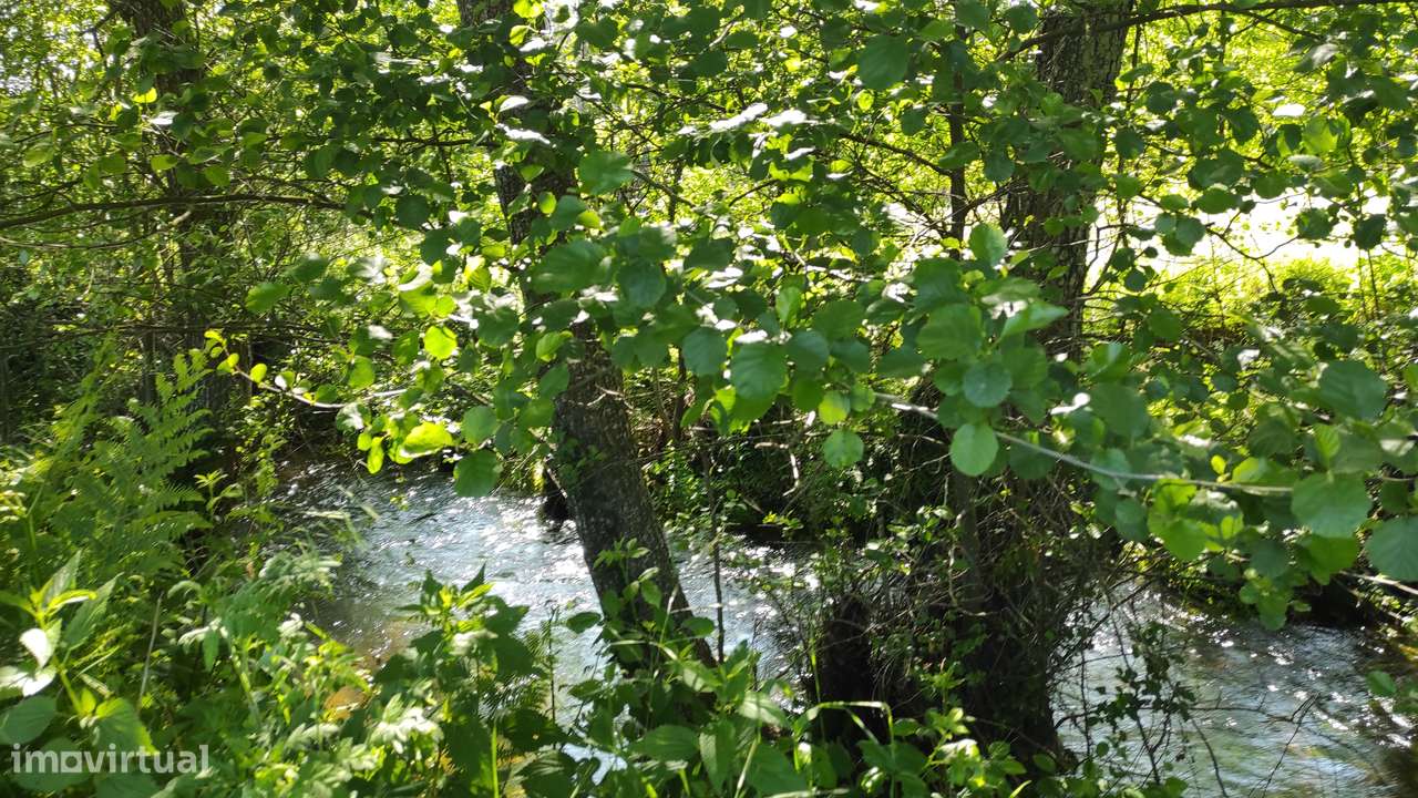 Quinta com Vista para a Serra da Estrela – Um Refúgio Natural - Grande imagem: 5/19