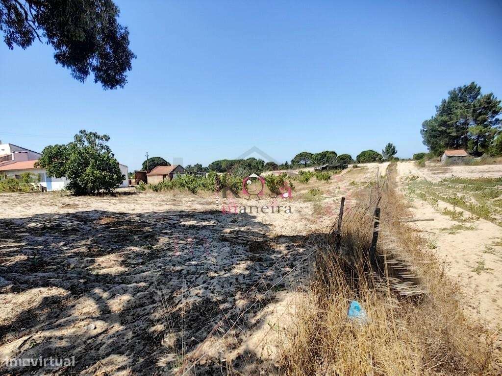 4 Moradias em Melides, exelente para investimento - Grândola-11