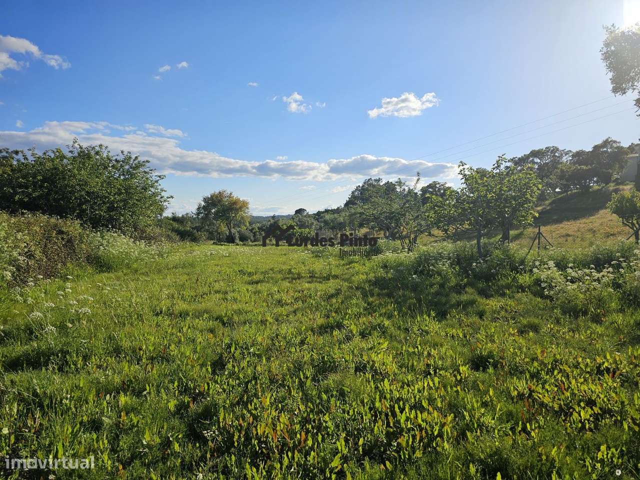 Quintinha em Maxiais - Grande imagem: 2/10