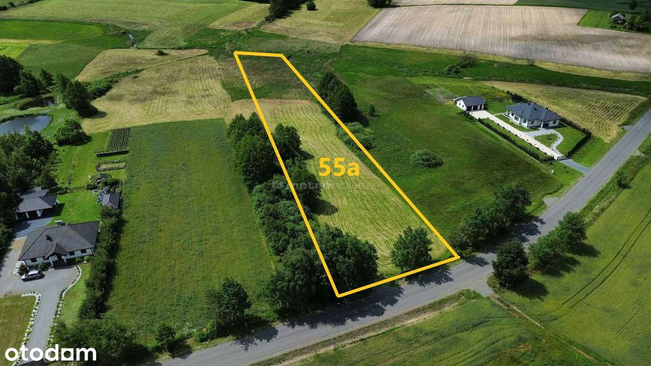 Malownicza duża działa- 55a- Cyców - Pełny obrazek: 3/7