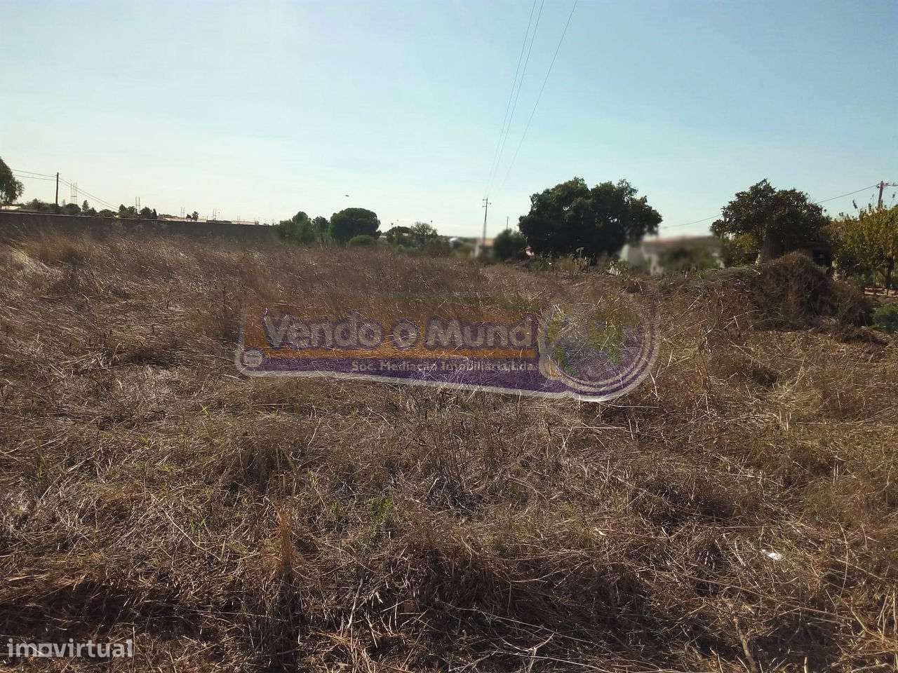 Terreno em Glória do Ribatejo (GLR018) - Grande imagem: 5/5