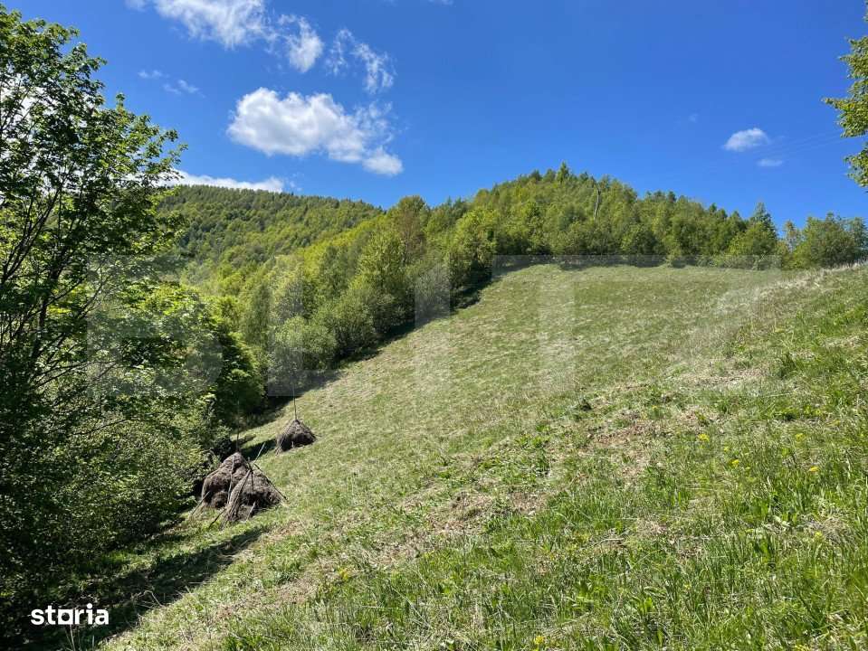 Intravilan de vanzare in Satul Plopi, se poate parcela Comuna Valea Ie - Imagine principală: 4/11