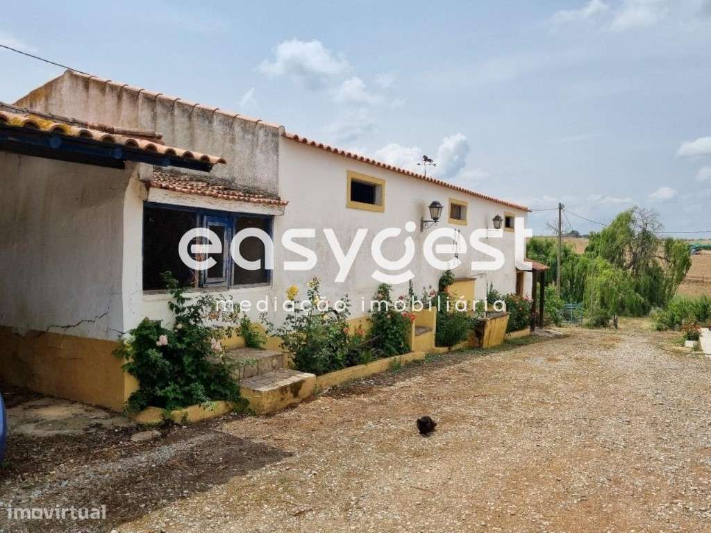 Herdade em Beja - com Habitação V2 - Grande imagem: 3/37