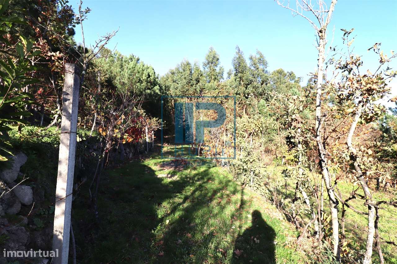 Quinta T3+1 Venda em Penhalonga e Paços de Gaiolo,Marco de Canaveses-30