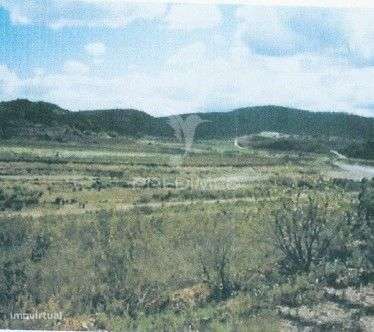 Herdade com 80 hectares com projecto multiusos - Grande imagem: 2/2