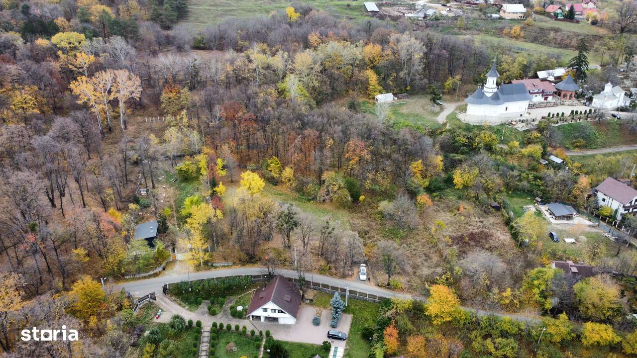Teren intavilan iasi Bucium 3400 mp mixt padure/liber-6