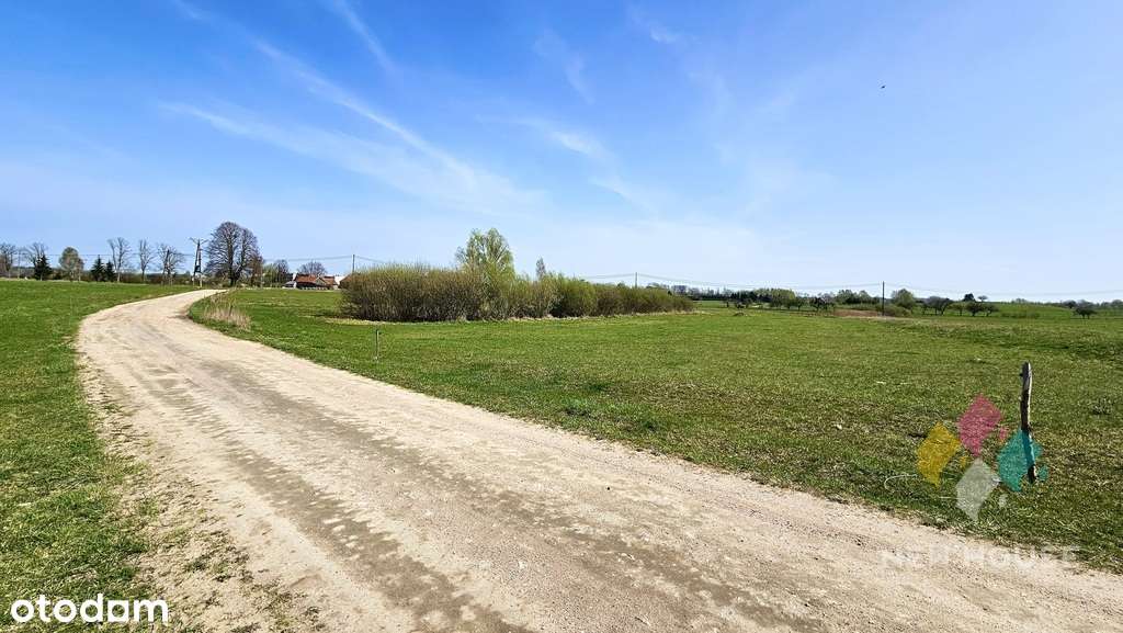 Jesionowo, działka z WZ, pow. 7996 m2, oczko wodne - Pełny obrazek: 5/20