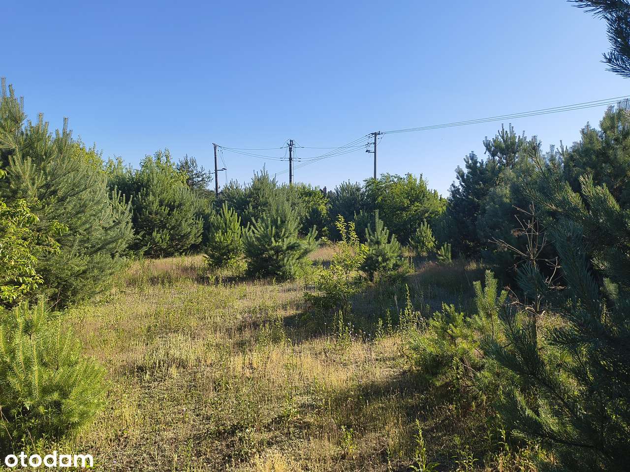 Sprzedam dwie działki budowlane w Murzynowie - Pełny obrazek: 5/8